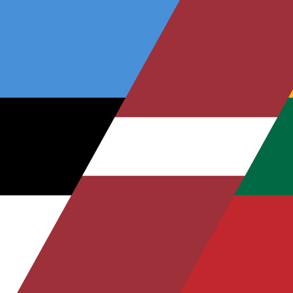 Patchwork_flag_of_baltic_countries.png 